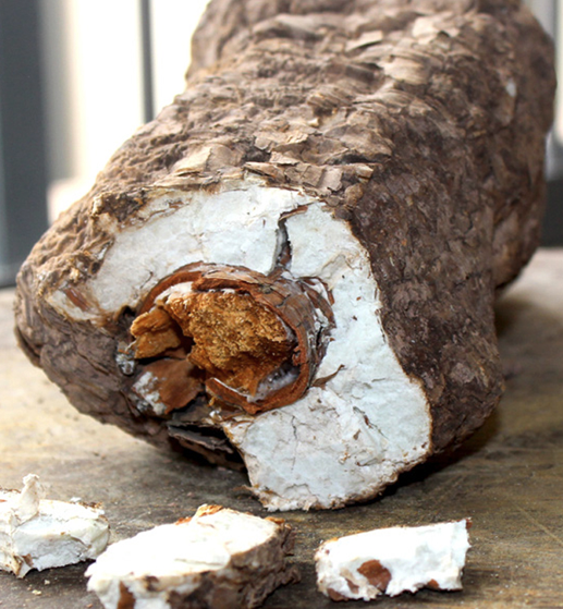 Herbs / ingredients visualization